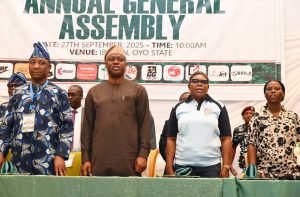 We've Developed Oyo's Sports Economy, Makinde Says