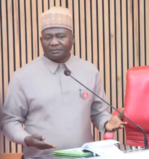 Senate Confirms Gen. Musa As Minister of Defence